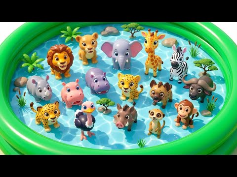Safari Animals for Kids: Lion, Bear & Hippopotamus Adventure | Wild Animals Learning for Toddlers