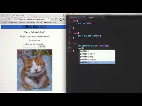 Intro to CSS - Learn Coding in 5 Minutes