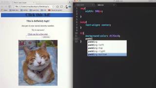Intro to CSS - Learn Coding in 5 Minutes