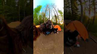 Bigfoot Tries Using a Smartphone—Fail! 😂🐾 #Bigfoot #Camping #TechFail