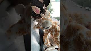 i love alaniess. #followme #alanis #followme #likeandshare #dancecraze #trending #reels #fypp