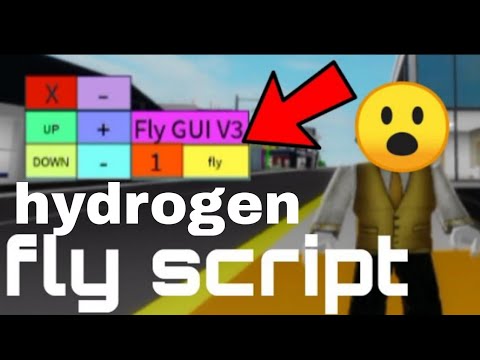 hydrogen fly script works