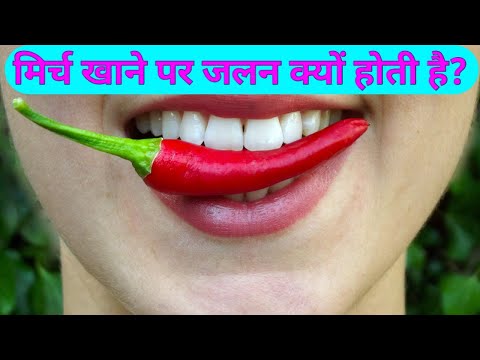 मिर्च खाने पर जलन क्यों होती है ? तीखी क्यों होती हैं मिर्च ?