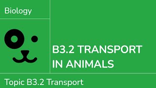 B3.2 Transport in Animals [IB Biology SL/HL]