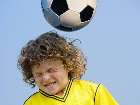 VMP Journal Club Expert Answers: Concussions
