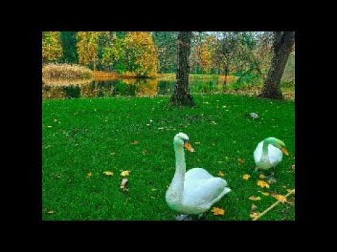 Natural Place in Warsaw |Poland