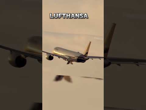 collab with @Santiagogleissner #plane #jet