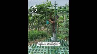 Planting support tool #garden #gardening #gardentips #gardencare #tipsforgarden #viral #gardentool