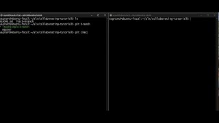 GitHub Collaboration, SSH Login, Branching, Merging