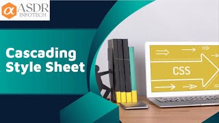 Complete CSS Training: Master the Art of Web Styling