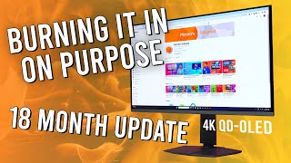 Deliberately Burning In My QD-OLED Monitor - 18 Month Update