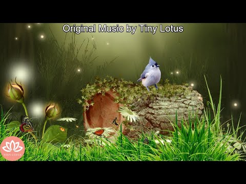 Relaxing Music for Stress Relief | Music with Nature and Water Sounds 💕 28