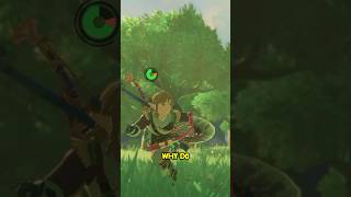 Sages in TOTK be like… #zelda #botw  #totk #thelegendofzeldatearsofthekingdom