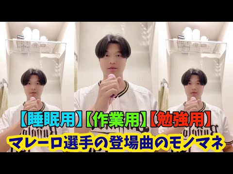 【睡眠用】【作業用】【勉強用】BGM マレーロ登場曲モノマネ30分耐久