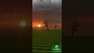 Valley Drive | Landscaping  #3dvisualization #3denvironmentdesign #travel #shorts #viralvideo