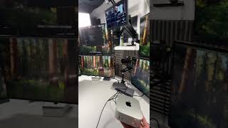 M4 Mac Mini monitors