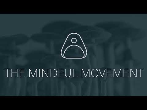Mindful Meds Live Stream
