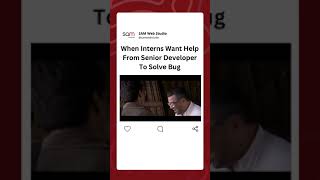 When Interns Want Help From Senior Developer To Solve Bug.