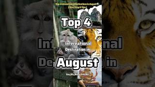 🌍 Top 4 International Destinations for August | Visa, Stay & Tips  |