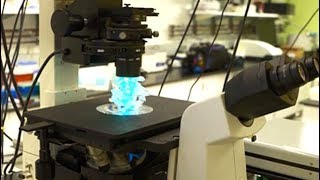UC San Diego, Department of Physics - Frontier Research and Education