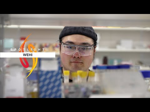 The Chinese science students inspired by Australian research (and coffee) - WEHI