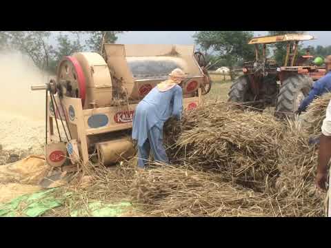 Wheat harvesting in Punjab Pakistan || Gandum ki katai #5 2019
