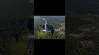 Amazon Jungle Rainforest #shorts #yt #ytshortsindia  #facts #studyfact