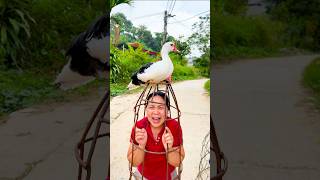 Funny family videos are always a source of inspiration and relaxation. #funny #cute