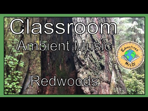 Classroom Ambience Music: Redwood National Park and Fun Facts