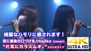 【4K】綺麗なハモリに癒されます。　君に最後の口づけを / majiko（cover）“片耳にカラスムギ。” 4K動画　2020.6.6スタジオライブ より