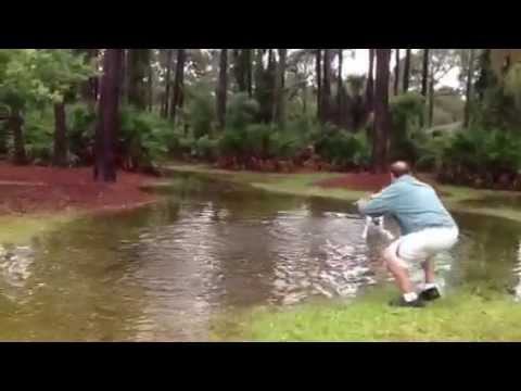 Crazy Bolt playing in puddle
