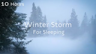 Snowstorm & Wind Sounds for Deep Sleep | NO ADS | Blizzard White Noise ❄🌨