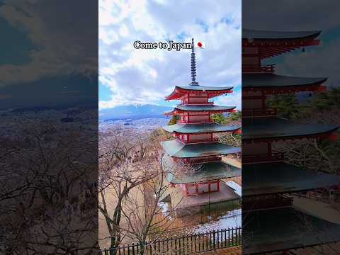 Come to Japan #Japan #japantravel #travel