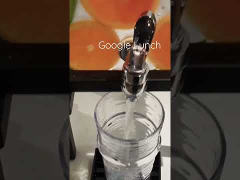 Lunch at Google