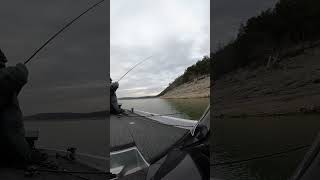 Brazalo jig and Zoom speed craw putting them in the boat!