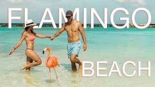 Swimming with Flamingos? - Flamingo beach in Aruba
