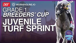 Grade 1 Breeders' Cup Juvenile Turf Sprint | October 31, 2025