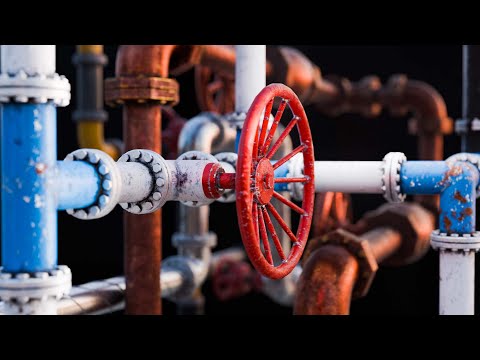 Nodee: Pipes - Blender Tutorial