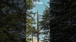 Before After Photo Edit