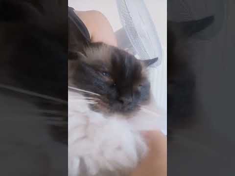 omg did i make the puurfect loop