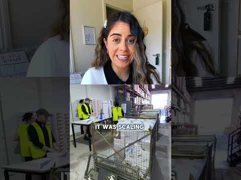Losing Money in My First Year of Business | Subscription Box AUS