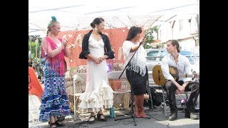 Flamenco at BIG on Bloor Festival in Toronto