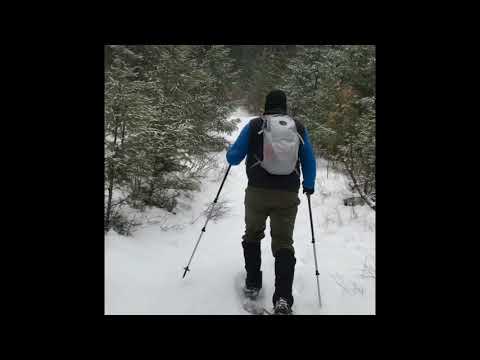 Illers Creek Feb 2018