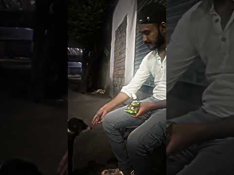 Dogs 🐶 lover 💕 #mrsheruofficial #trending #viralvideo #love #animals