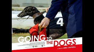 GOING TO THE DOGS  |  UK theatrical trailer | In cinemas Friday 7th November 2025