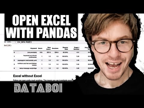 Read Excel File in Python Pandas | Learn Python For Marketing