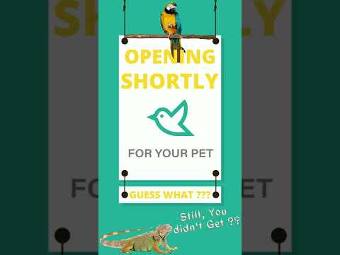 To all Pet Animals You Can Think of...🐕🐩🐇🐰🐭🐹 Treat Unusual