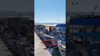 #skalakalloni #kallonilesvos #4kdronefootage #greekislands #discovergreece
