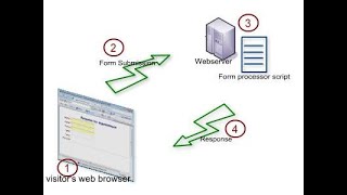 Forms In HTML and CSS