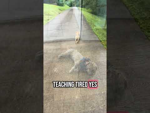 Teacher Self Care #selfcare #teacher #education #summer #trending